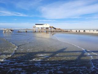 Comfortable holiday apartment in St Peter Ording - 5