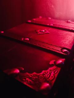 Jungle Chic Apartment, Balneo, Close to center - 4