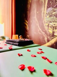 Jungle Chic Apartment, Balneo, Close to center - 2