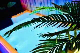 Jungle Chic Apartment, Balneo, Close to center - 1