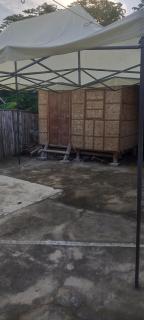 Dumaguete Divers - 7