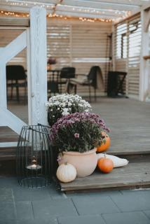 Domek Sielsko z kominkiem i jacuzzi godzinę od Warszawy - 4