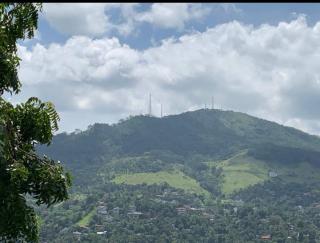 Primrose hill apartment - 9