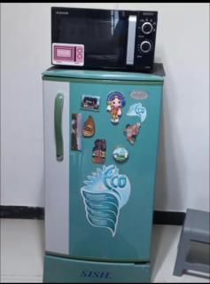 Primrose hill apartment - 6