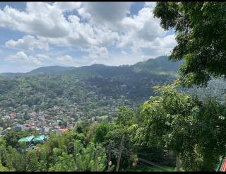 Primrose hill apartment - 3