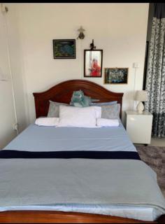 Primrose hill apartment - 2