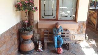 The Cedars Bed and Breakfast - 6