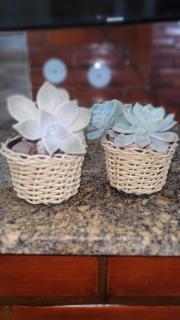 Casa 2 quartos com ar condicionado em condomínio-Carnaval - 6