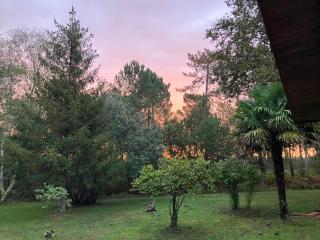 Maison en forêt, calme, proche village et piste cyclable - meublé 3 étoiles - 6