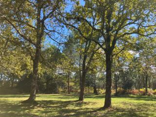 Maison en forêt, calme, proche village et piste cyclable - meublé 3 étoiles - 9