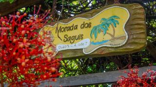 Morada dos Saguis - 1