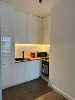 Riverside Suites with Cityscape Views Kwiatkowskiego Free Parking - Rzeszów - 3