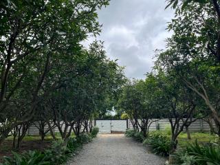 Mango Farm House - 3