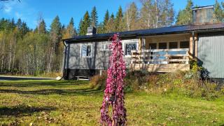 Gästhus i Röjdåfors - Östmark - 0