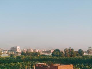 nile shores hotel - 7