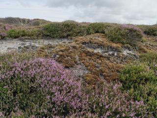 6 person holiday home in Nørre Nebel - 8