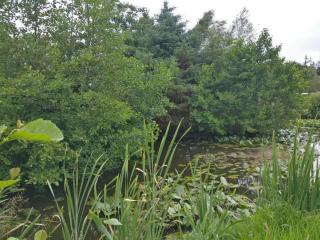 6 person holiday home in Nørre Nebel - 2