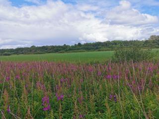 6 person holiday home in Nørre Nebel - 3