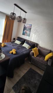 Apartment Ogi - 4
