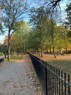 Kensington Olympia Apartments - 2