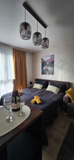 Apartment Ogi - 7