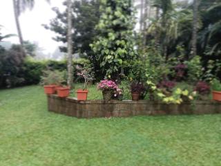 Moonlight Meadows - 6