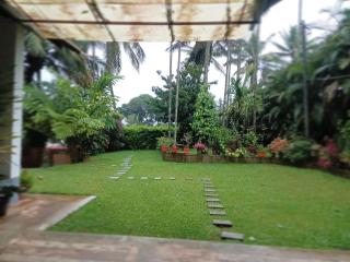 Moonlight Meadows - 2