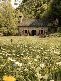 Les chalets de la forêt d'Issaux - 6