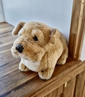 Samui Tiny House villa Glamping, Seaview sleeps 8 - 4