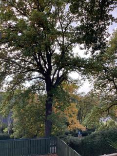 "Au repos de la Citadelle" - 2