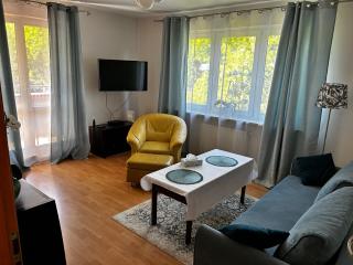 Kasztanowa Apartament - 9