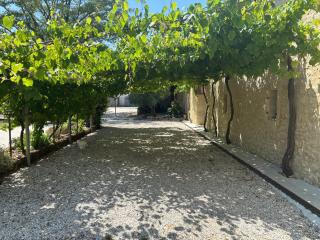 Chambres au cœur des vignes - 1