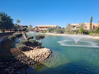 La perle de la palmeraie - 8