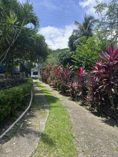 Placido's Vacation Home - 3