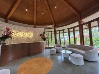 Anemos Boutique Living and Spa - 4