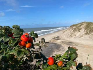 6 person holiday home in Ringkøbing - 1