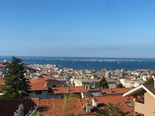 Le Pergole - Trieste - 0