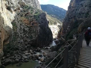 NT Bright and modern apartment in Pizarra - 5