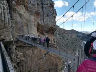 NT Bright and modern apartment in Pizarra - 7