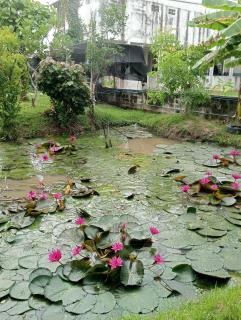 บ้านเพื่อนโฮมสเตย์ - 0