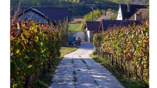 Valley of Bikic - 6
