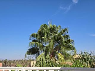 Villa Palmeraie Marrakech Center - 5