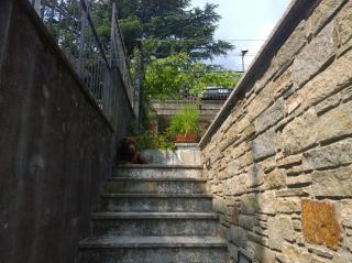 Venanzio! - Pianello Del Lario - 1