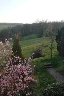 Himmelthal Apartment - 2