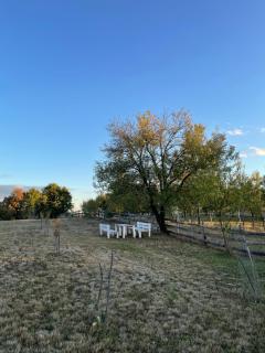 Country Life - 7