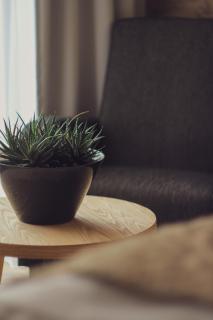 Pension Vzhůru nohama - 6