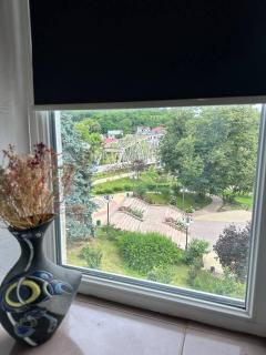 1-кімнатна квартира біля парку Чортків - 3