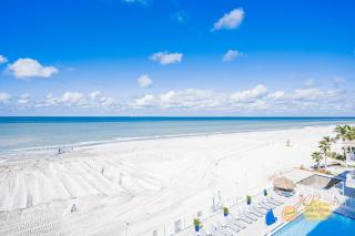 Sand Dollar 407 - 8