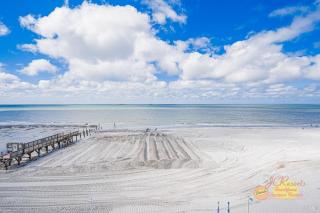 Sand Dollar 409 - 5