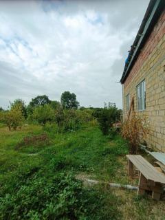 Zaur's Relaxing House in Qusar - 2